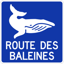 Indication de la route touristique (Route des Baleines)